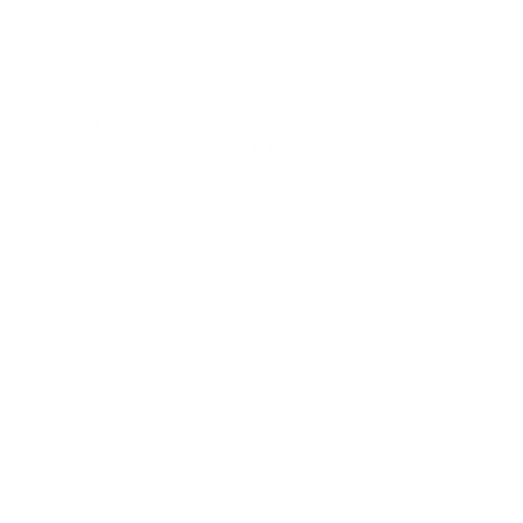 mandala_dicht_800.png